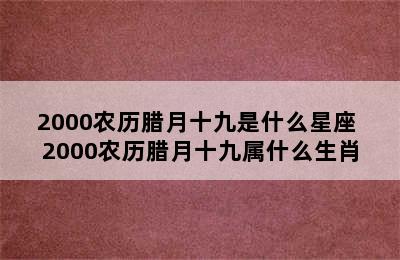 2000农历腊月十九是什么星座 2000农历腊月十九属什么生肖